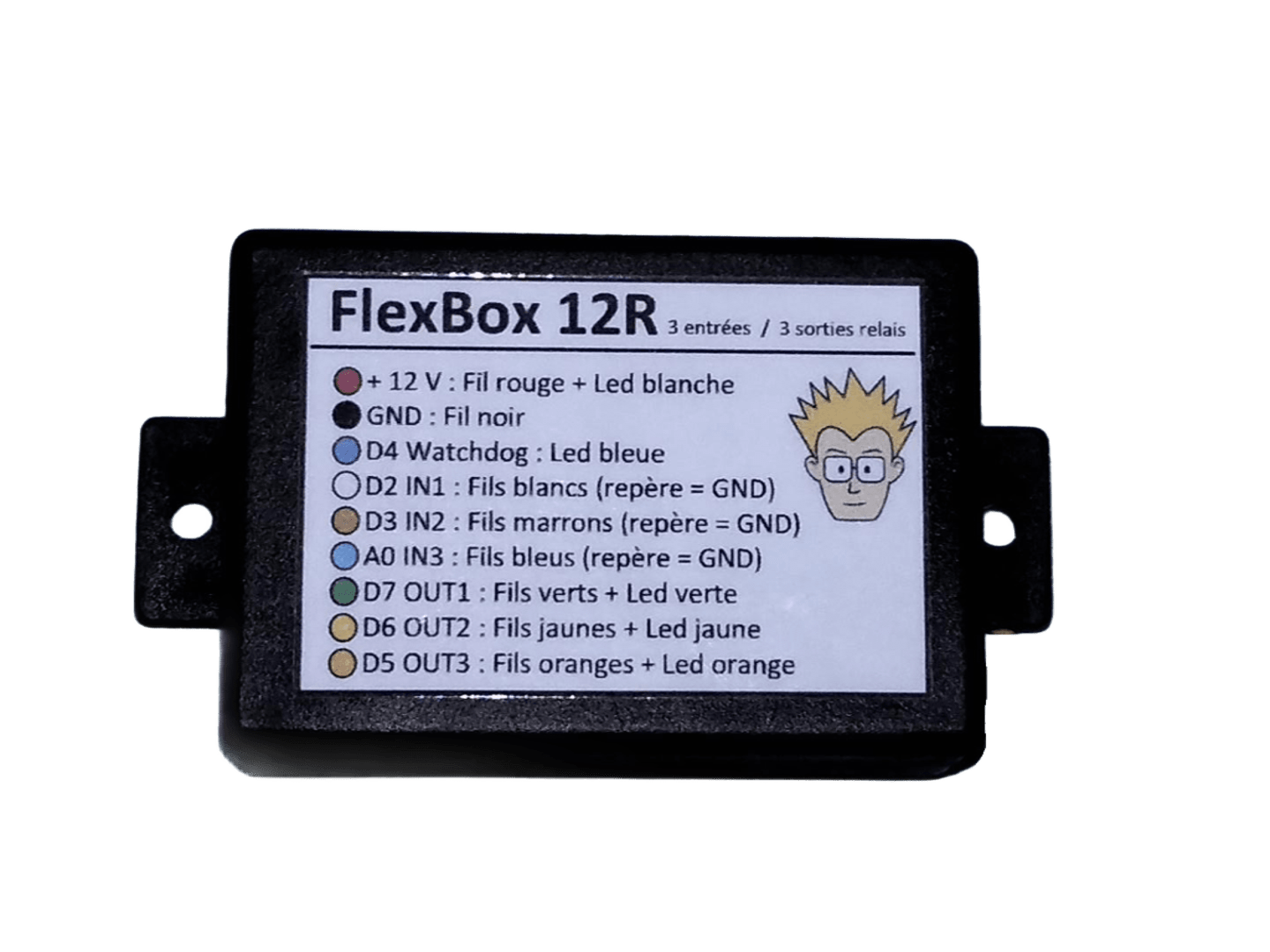 Vue de face du boîtier FlexBox 12R d'Anobis avec les indications de câblage pour les 3 entrées et 3 sorties relais, alimentation 12V et indicateurs LED.