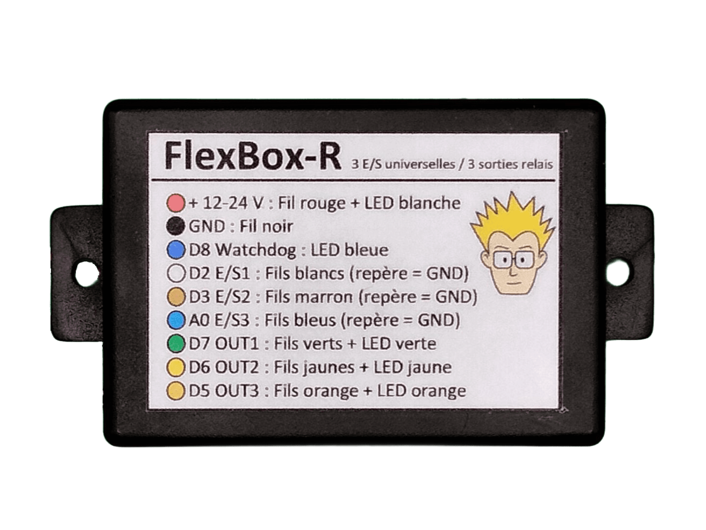 Vue de face du boîtier FlexBox-R d'Anobis avec les indications de câblage pour les 3 entrées/sorties et les 3 sorties relais, alimentation 12-24V DC et indicateurs LED.