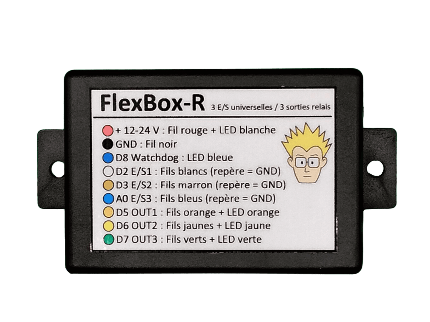 Vue de face du boîtier FlexBox-R d'Anobis avec les indications de câblage pour les 3 entrées/sorties et les 3 sorties relais, alimentation 12-24V DC et indicateurs LED.